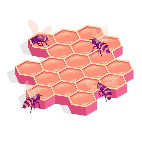 Abelhas em pente ilustração isométrica vetorial isolada. Pentes de mel seladas. Abelhas rastejam em favo de mel . — Vetor de Stock