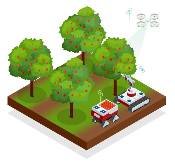 Les Robots Guidés Automatiques Isométriques Récoltent Les Fruits Des Arbres — Image vectorielle