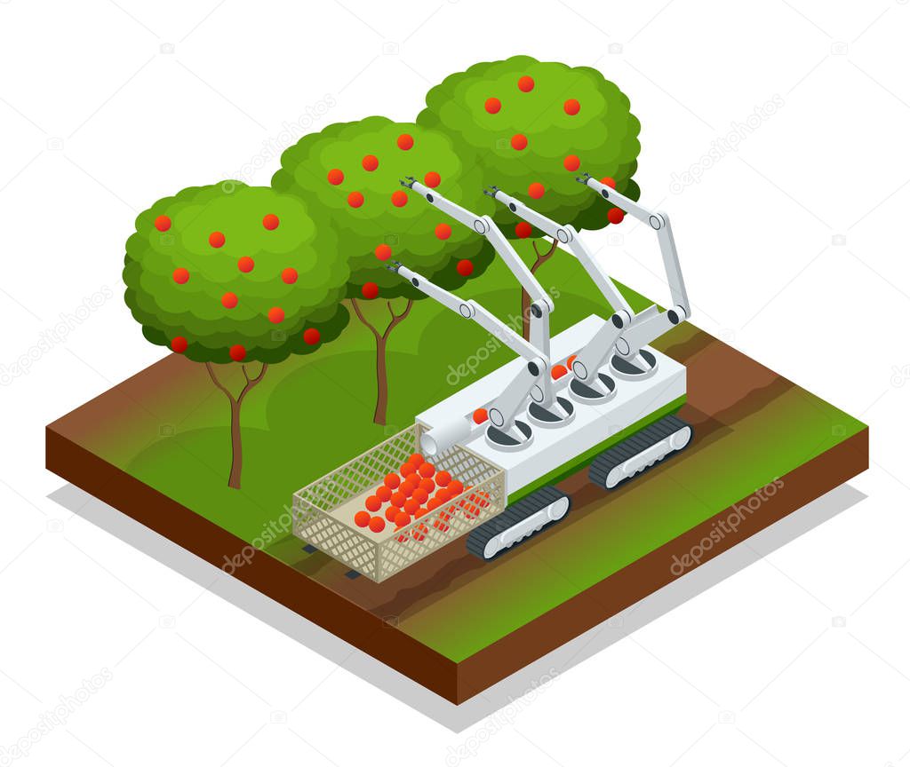 Isometric automatic guided robots harvest fruit from trees. Agricultural machinery robots mechanical arm working technology.