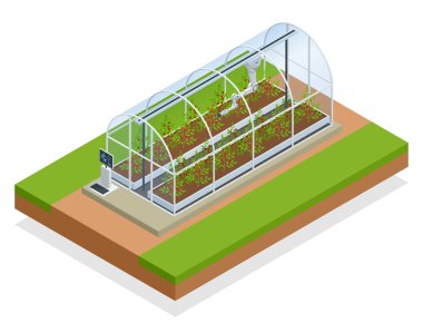 İzometrik modern akıllı endüstriyel sera. Yapay zeka robotlar tarım. Organik gıda, tarım ve hydroponic conccept.