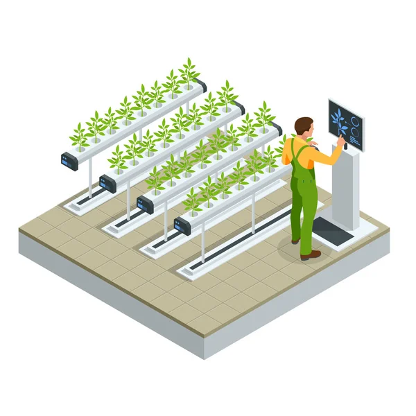 İzometrik modern akıllı endüstriyel sera. Yapay zeka robotlar tarım. Organik gıda, tarım ve hydroponic conccept. — Stok Vektör