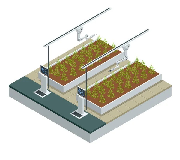 Estufa industrial inteligente moderna isométrica. Robôs de inteligência artificial na agricultura. Alimentos orgânicos, agricultura e conceito hidropônico . — Vetor de Stock