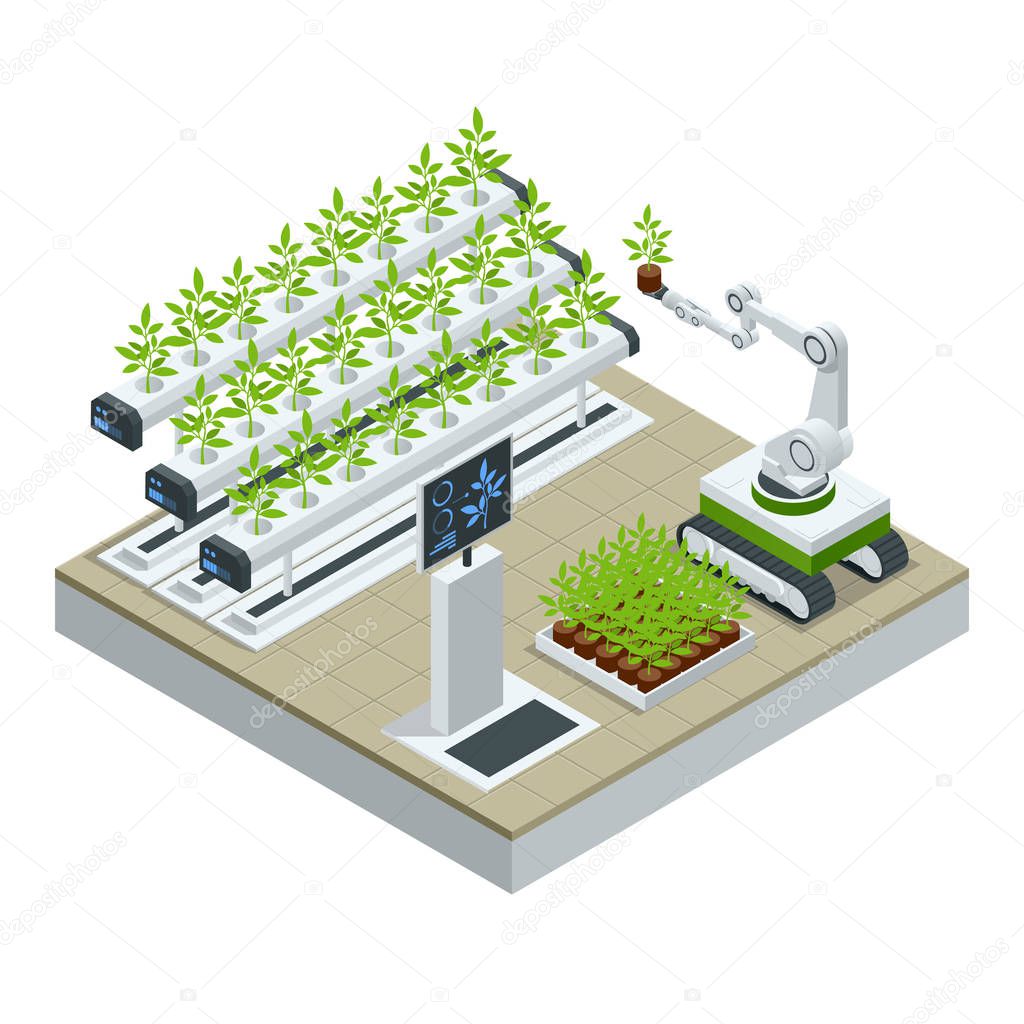 Isometric modern smart industrial greenhouse. Artificial intelligence robots in agricultural. Organic food, agriculture and hydroponic conccept.