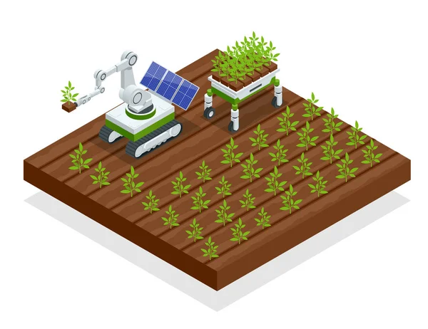 Automatización isométrica agricultura inteligente en el campo. Robots de inteligencia artificial en agricultura. Alimentación ecológica, concepto de agricultura . — Archivo Imágenes Vectoriales