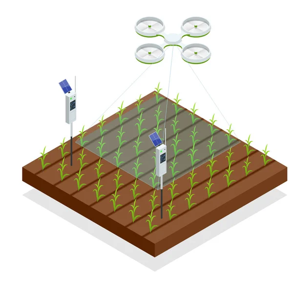 Einsatz einer Drohne zur Kontrolle von Pflanzenwachstum, Postfeuchtigkeit und Schädlingen. Smart-Farming-Konzept zur Automatisierung der Landwirtschaft. Isometrische Vektorabbildung — Stockvektor