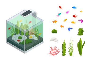 Tatlı Su Akvaryumu 'ndaki Isometric Japon Balığı ve Sualtı Elementleri, Balık, Mercan, Yeşil Bitkili Tropikal, Beyaz Arkaplanda İzole Taşlar.