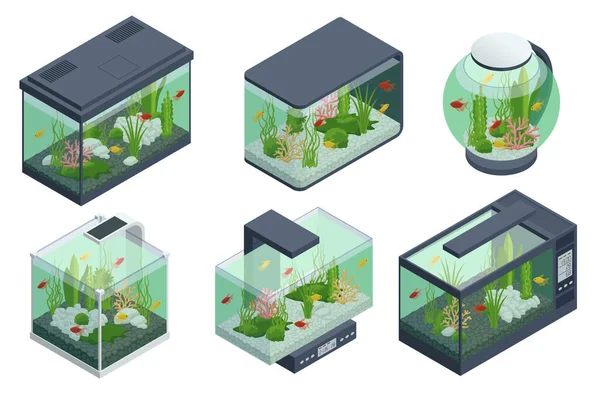 Isometrische goudvissen in het zoetwateraquarium en de set van aquariumelementen onderwater, vissen, koralen, groen beplante tropische, stenen geïsoleerd op witte achtergrond. — Stockvector