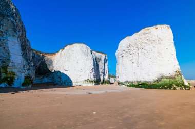 Beyaz tebeşir kayalıklarla ve plaj botanik Bay, Margate, Doğu Kent, İngiltere