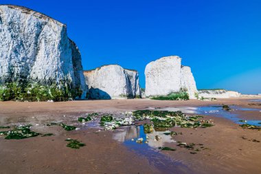 Görünüm ikonik beyaz tebeşir yığınları, uçurumlar, deniz gelgit ve plaj botanik Bay, Margate, Doğu kent, İngiltere