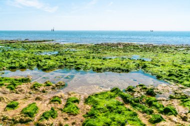 Plaj ve deniz gelgit taşlarla, görünümünü Ramsgate, Kent, İngiltere'de yosun kaplı
