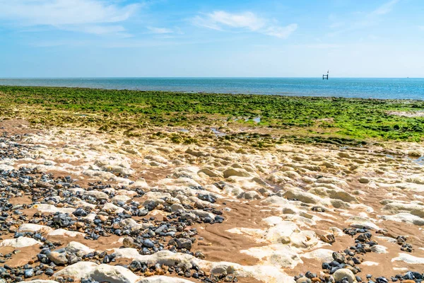 Blick Auf Strand Und Meer Bei Ebbe Mit Steinen Bedeckt — Stockfoto