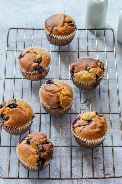 Muffins Caseros Arándanos Limón Vista Ángulo Alto — Foto de Stock