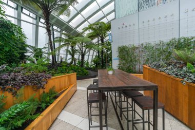 Londra, İngiltere - 4 Temmuz 2015: Sky Garden 20 Fenchurch St üst kısmında yer alan Avrupa'nın en yüksek Bahçe alanıdır. Şık bir restorana sahiptir; Brasserie ve kokteyl bar