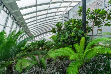 Londra, İngiltere - 16 Ağustos 2018: Sky Garden 20 Fenchurch St üst kısmında yer alan Avrupa'nın en yüksek Bahçe alanıdır. Şık bir restorana sahiptir; Brasserie ve kokteyl bar.