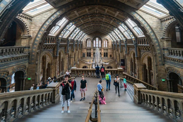 Londra Ağustos 2018 Turist Doğal Tarih Müzesi Ziyaret Edin Biri — Stok fotoğraf