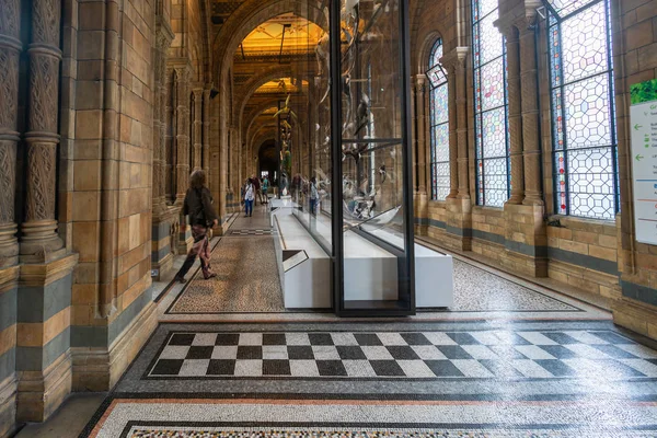 Londres Agosto 2018 Los Turistas Visitan Museo Historia Natural Uno — Foto de Stock