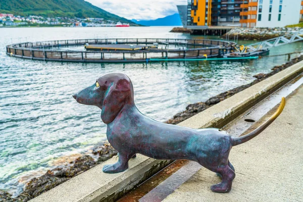 Tromso Noruega Septiembre 2018 Escultura Dachshund Fuera Del Teatro Halogaland —  Fotos de Stock