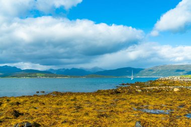 Tromsoya, Norveç adada taşlı plaj ve fiyort Tromso üzerinden görünümü