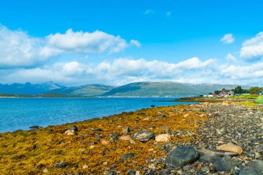Tromsoya, Norveç adada taşlı plaj ve fiyort Tromso üzerinden görünümü