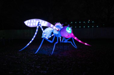 Londra, İngiltere - 09 Aralık 2018: Londra'nın yeni lantern Festivali Southwark Park özellikleri üzerinde her iki alis harikalar ve ayna aracılığıyla hikayesini anlatan 160 dev fenerler