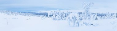 Kar kış manzara panoramik manzaralı Beitostolen ağaçlarda kaplı. Norveç'te kış