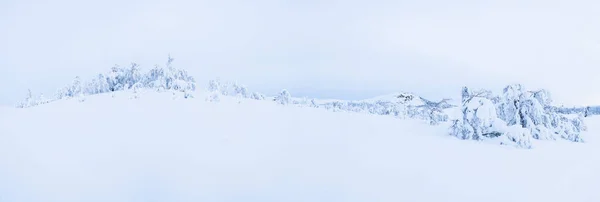 Vista Panorámica Del Paisaje Invernal Con Árboles Cubiertos Nieve Beitostolen — Foto de Stock