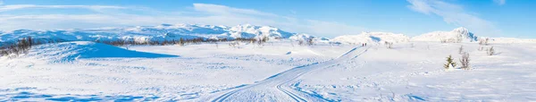 Široký Panoramatický Pohled Zasněženou Krajinu Cross Běžkařská Trať Beitostolen Zima — Stock fotografie