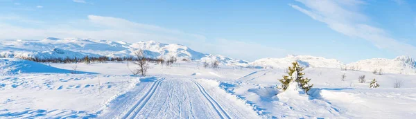 Amplia vista panorámica del paisaje nevado con esquí de fondo tr — Foto de Stock