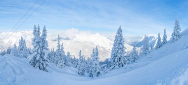 Wide panoramic view of winter landscape with snow covered trees and Alps in Seefeld in the Austrian state of Tyrol. Winter in Austria