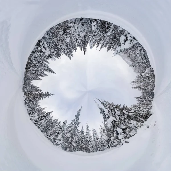 360 Amplias Vistas Panorámicas Del Paisaje Invernal Con Árboles Cubiertos — Foto de Stock