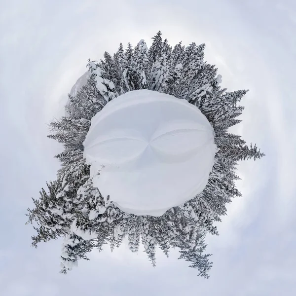 360 Vistas Panorámicas Del Paisaje Invernal Con Árboles Cubiertos Nieve — Foto de Stock