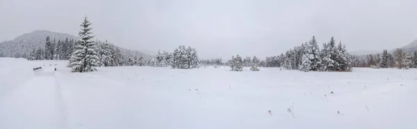 Bred Panoramautsikt Över Vinterlandskap Med Snötäckta Träd Seefeld Den Österrikiska — Stockfoto