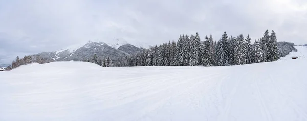 Amplia Vista Panorámica Del Paisaje Invernal Con Árboles Cubiertos Nieve — Foto de Stock