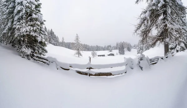 Amplia Vista Panorámica Del Paisaje Invernal Con Árboles Cubiertos Nieve — Foto de Stock