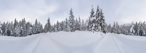 360 Široký Panoramatický Pohled Zimní Krajiny Sněhem Pokryta Stromy Seefeld — Stock fotografie