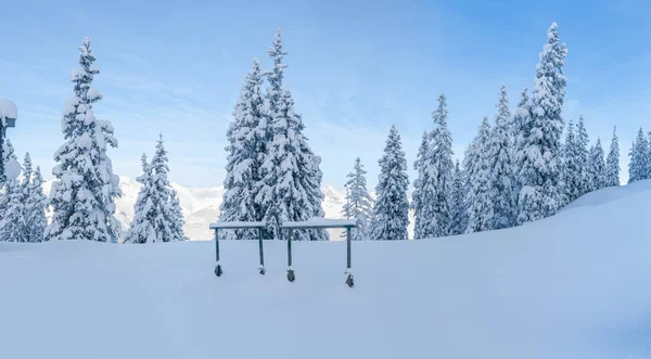 Amplia Vista Panorámica Del Paisaje Invernal Con Árboles Cubiertos Nieve — Foto de Stock