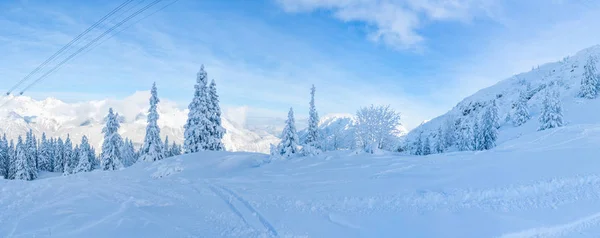 Amplia Vista Panorámica Del Paisaje Invernal Con Árboles Cubiertos Nieve — Foto de Stock