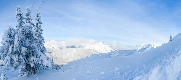 Vedere Panoramică Largă Peisajului Iarnă Copaci Acoperiți Zăpadă Alpi Seefeld — Fotografie, imagine de stoc
