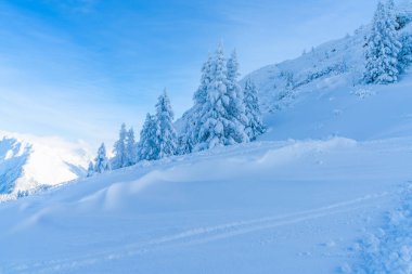 Görünümü ile kar kış manzara ağaçlar ve Alpler Seefeld in Tyrol, Avusturya Devlet kaplı. Kış Avusturya