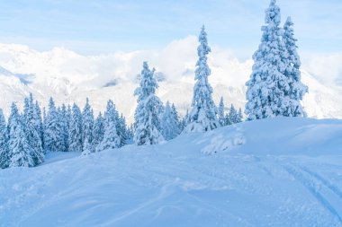 Görünümü ile kar kış manzara ağaçlar ve Alpler Seefeld in Tyrol, Avusturya Devlet kaplı. Kış Avusturya