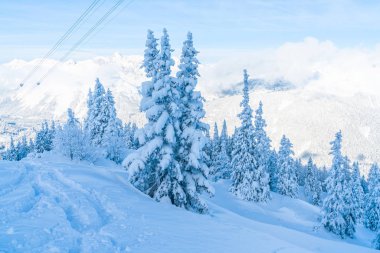 Görünümü ile kar kış manzara ağaçlar ve Alpler Seefeld in Tyrol, Avusturya Devlet kaplı. Kış Avusturya