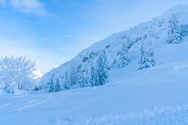 Vista Del Paisaje Invernal Con Árboles Cubiertos Nieve Alpes Seefeld — Foto de Stock