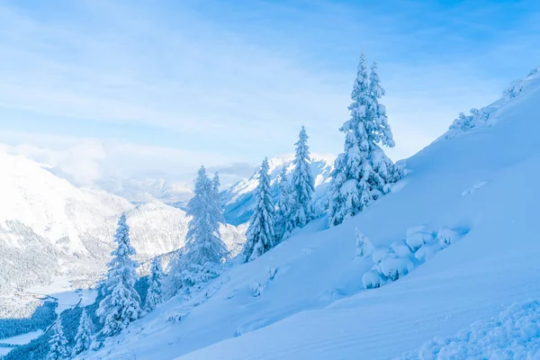 在奥地利蒂罗尔州的塞费尔德 冬季景观与雪覆盖的树木和阿尔卑斯山 冬季在奥地利 — 图库照片