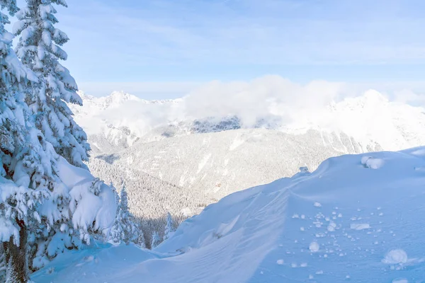 Vue Paysage Hivernal Avec Des Alpes Enneigées Seefeld Dans État — Photo