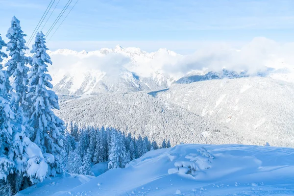 在奥地利蒂罗尔州的塞费尔德 冬季景观与雪覆盖的树木和阿尔卑斯山 冬季在奥地利 — 图库照片