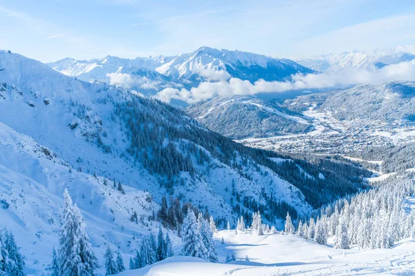 Vedere Peisajului Iarnă Copaci Acoperiți Zăpadă Alpi Seefeld Statul Austriac — Fotografie, imagine de stoc