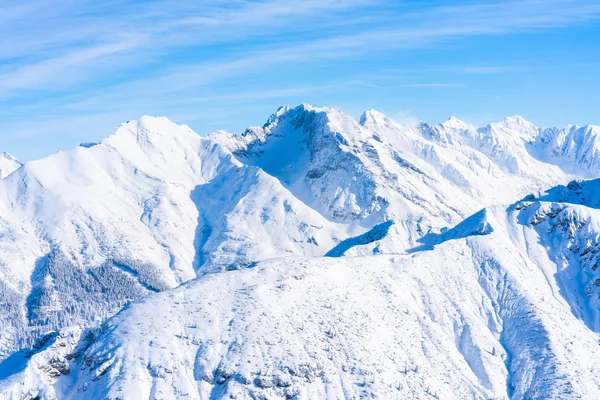 Άποψη Της Χειμερινό Τοπίο Χιόνι Κάλυψε Άλπεις Στο Ζέεφελντ Της — Φωτογραφία Αρχείου