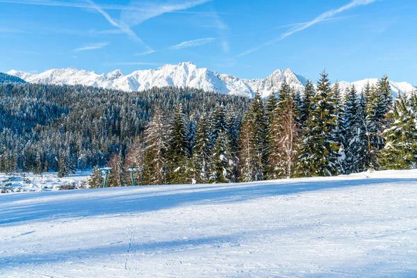 冬季景观与雪覆盖阿尔卑斯山在塞费尔德在奥地利的蒂罗尔州 冬季在奥地利 — 图库照片