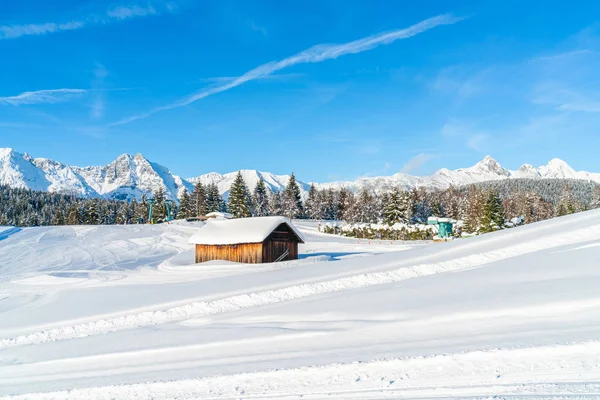 Peisaj Iarnă Alpi Acoperiți Zăpadă Seefeld Statul Austriac Tirol Iarna — Fotografie, imagine de stoc