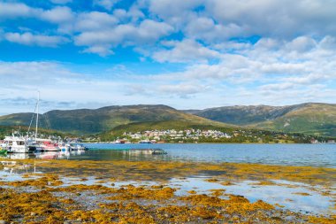Troms İlçesi 'nde Kvaloya Adası 'nda Eidkjosen görünümü, Norveç